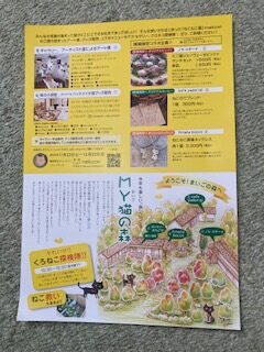 新しいチラシ制作へ